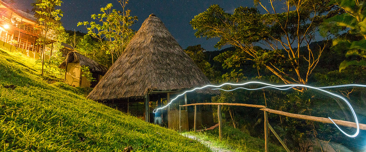 PUMARINRI NIGHTWALK - LA SELVA DE NOCHE