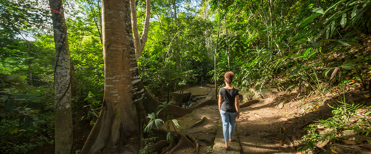 PUMARINRI DAYWALK LA SELVA DE DÍA
