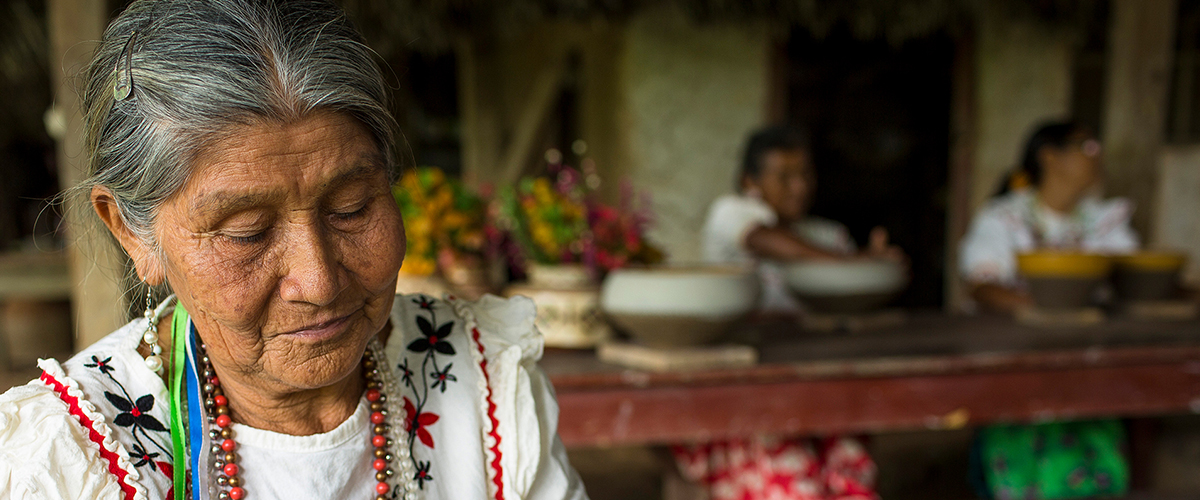 CHASUTA: LA SELVA DE CHOCOLATE