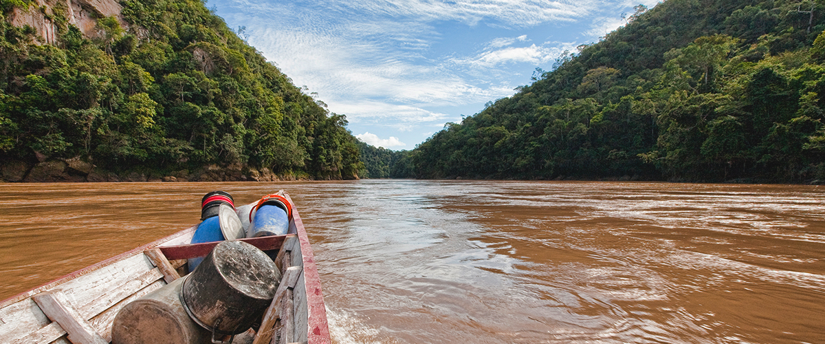 CHASUTA: LA SELVA DE CHOCOLATE