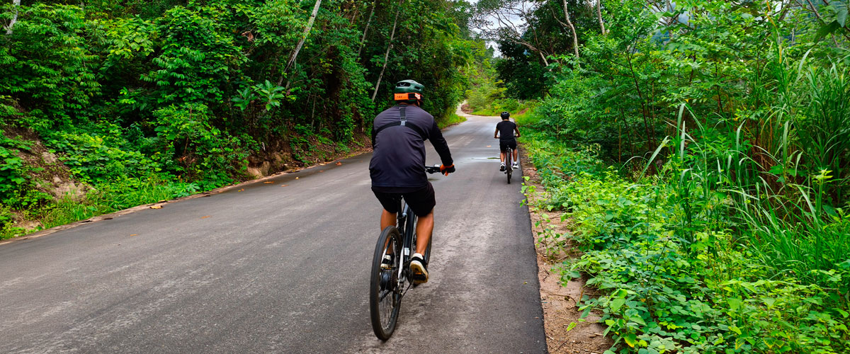 Actividad de bicicleta