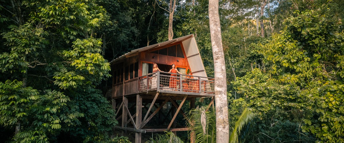 CANOPY PENTHOUSES